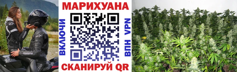 ссылка на мегу Алдан Шишки марихуана план